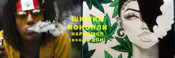 ГАЛЛЮЦИНОГЕННЫЕ ГРИБЫ Абаза
