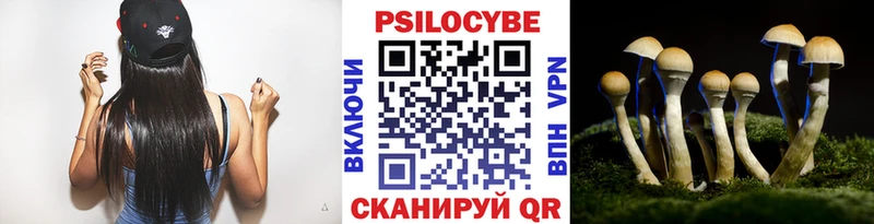 Галлюциногенные грибы Cubensis продажа наркотиков mega сайт Белёв