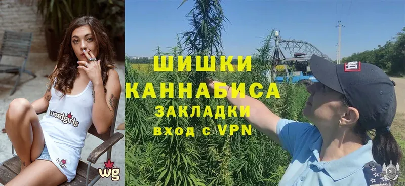 Каннабис сатива  цена   Белёв 